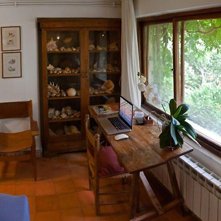 蒙德罗Il Glicine Sul Golfo住宿加早餐旅馆 外观 照片